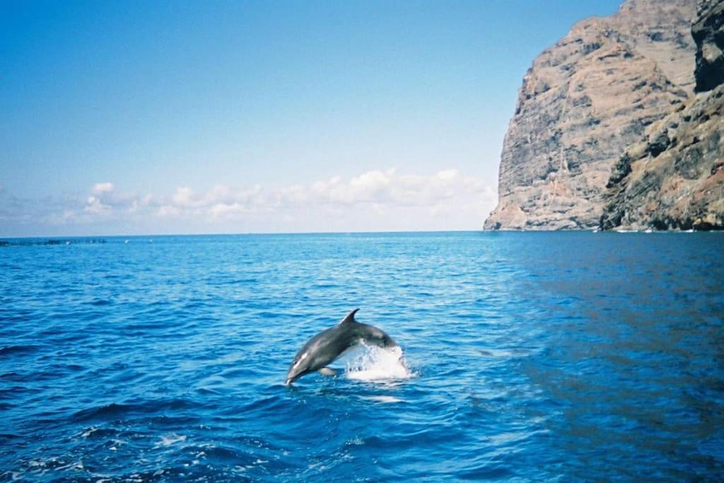 Vacanze Da Sogno San Miguel de Abona Dış mekan fotoğraf