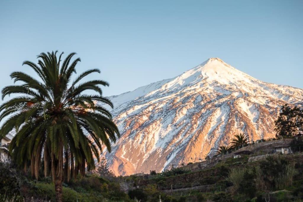 Vacanze Da Sogno San Miguel de Abona Dış mekan fotoğraf